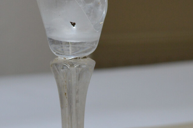 Fragment poháru na nožce a zlomek kobaltového skla. Foto M. Waldmannová.