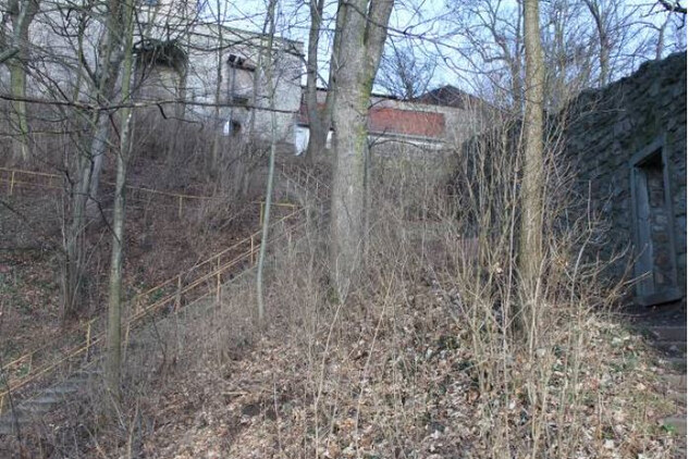 Náchod, zámecký kopec před obnovou, jižní svahy zarostlé nálety
