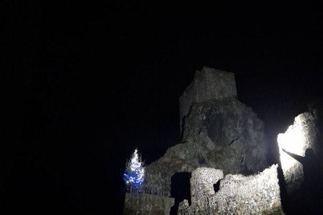 Pan Radek Petrášek z ČTK získal za fotku tohoto stromu ocenění „foto měsíce listopadu“