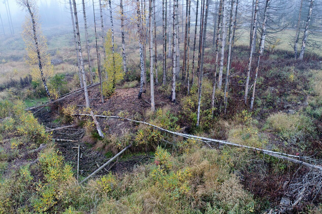 Skřinářov, tvrziště a ZSV Rohy | © Pavel Macků