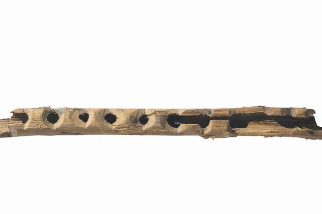 Opava, dřevěná píšťala, 1. pol. 13. století.