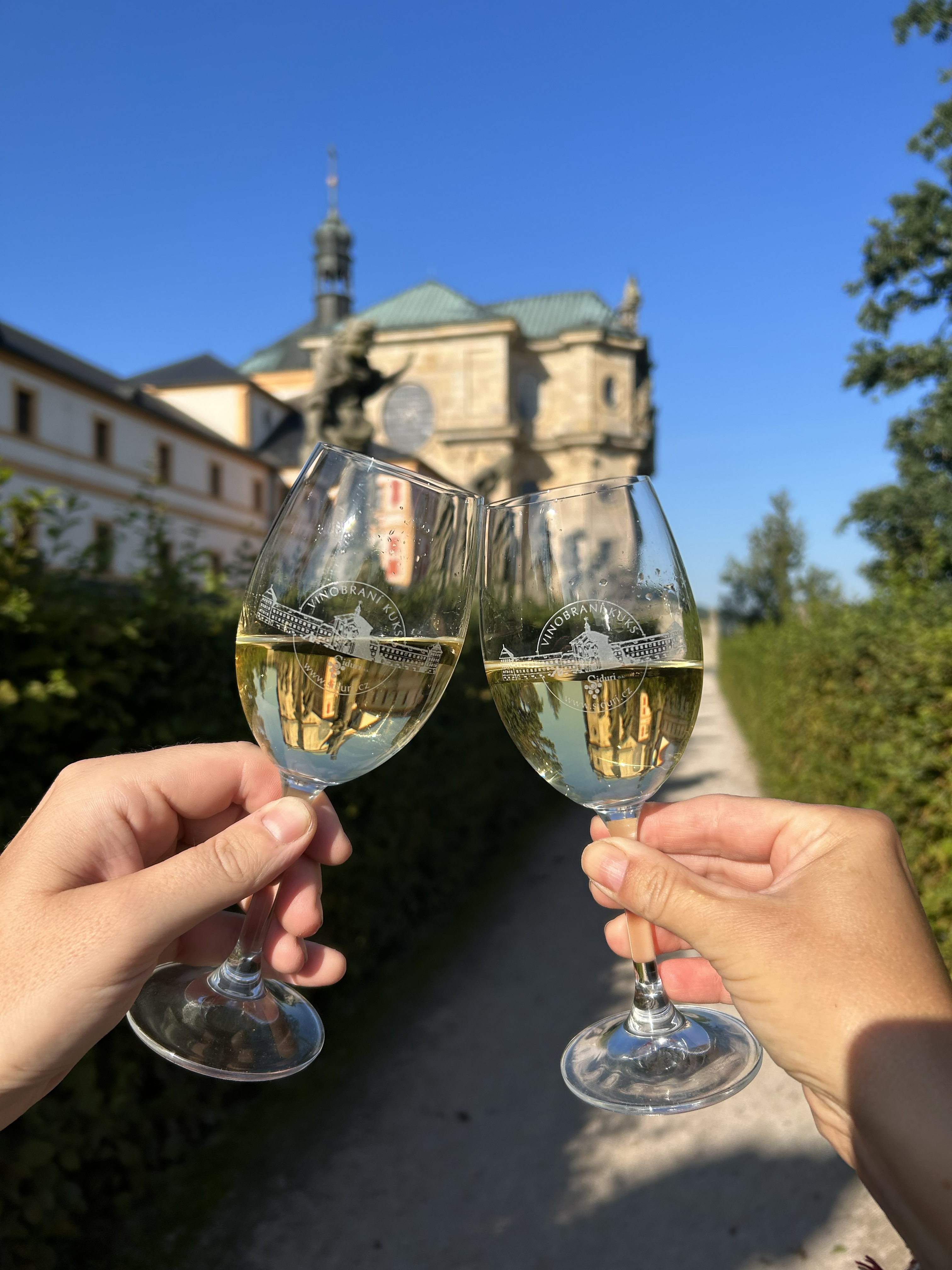 Vinobraní na hospitálu Kuks