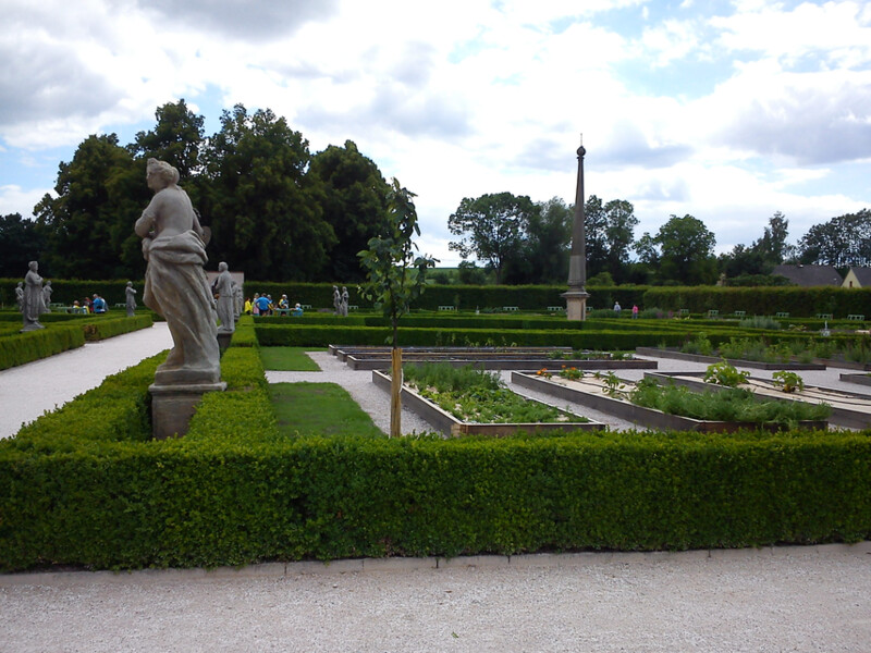 Bylinková zahrada v létě 2015