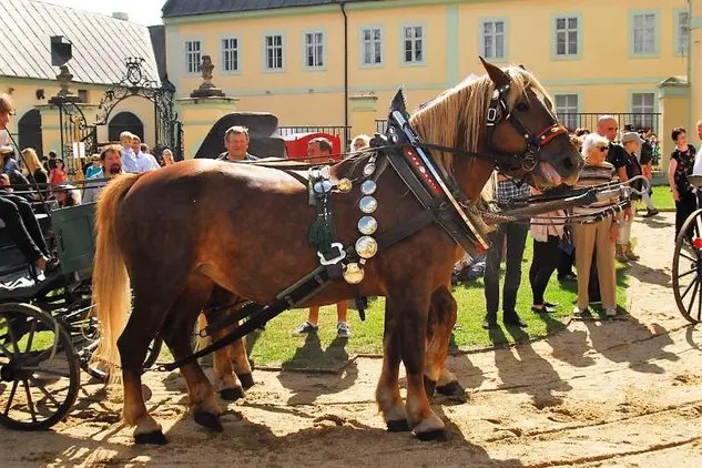 Barokní den na zámku v Manětíně - Národní památkový ústav