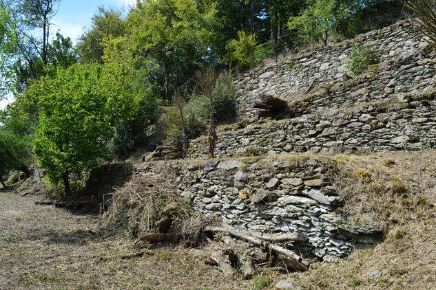 Hospodářské terasy pod hradem poskytují plazům dostatečný prostor a klid pro slunění.