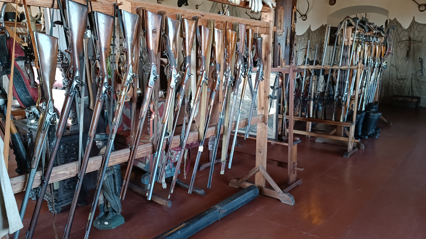 Tour of the Opočno armoury with extended interpretation Tour of the Opočno armoury with extended interpretation