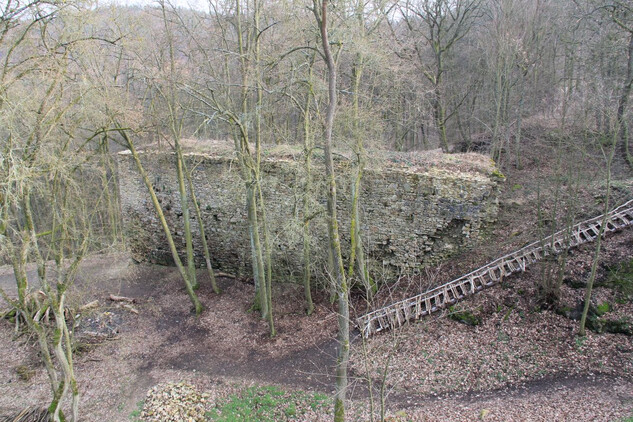 Středověký hrad Templštejn u Jamolic