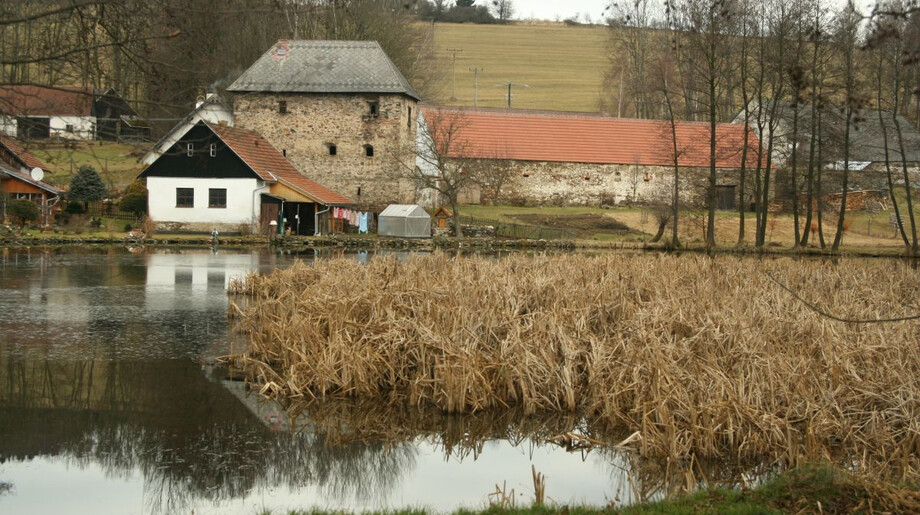 Tvrz v Sudkově Dole, stav v roce 2014