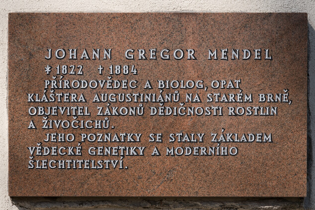 Hrobka řádu augustiniánů v Brně, náhrobek J. G. Mendela