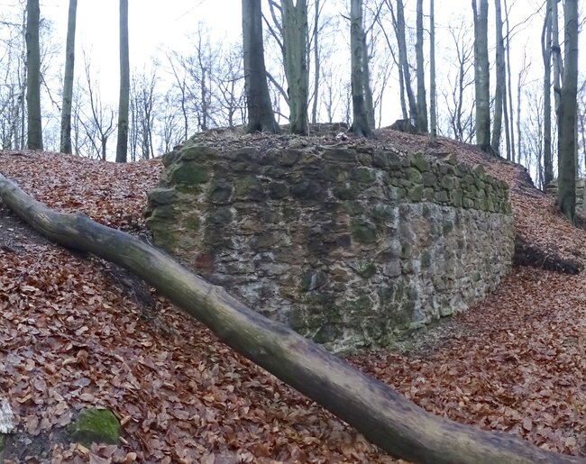 Hrad Starý Světlov, východní část parkánové hradby, stav po dokončení konzervačních prací, pohled od východu (foto: Vrla 2025) Hrad Starý Světlov, východní část parkánové hradby, stav po dokončení konzervačních prací, pohled od východu (foto: Vrla 2025)
