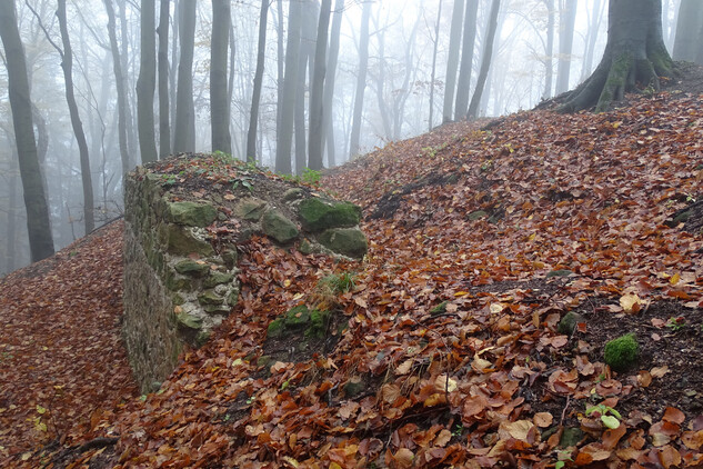 Hrad Starý Světlov, východní část parkánové hradby, stav po dokončení konzervačních prací, pohled od západu (foto: Vrla 2023)