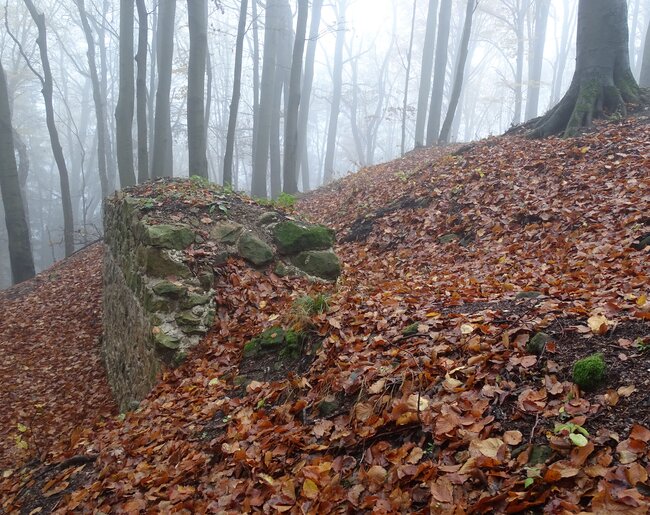 Hrad Starý Světlov, východní část parkánové hradby, stav po dokončení konzervačních prací, pohled od západu (foto: Vrla 2023) Hrad Starý Světlov, východní část parkánové hradby, stav po dokončení konzervačních prací, pohled od západu (foto: Vrla 2023)