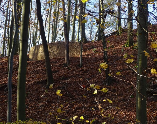 Hrad Starý Světlov, východní část parkánové hradby po provedení konzervace, pohled od severu (foto: Vrla 2023) Hrad Starý Světlov, východní část parkánové hradby po provedení konzervace, pohled od severu (foto: Vrla 2023)