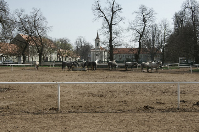 Národní hřebčín v Kladrubech nad Labem