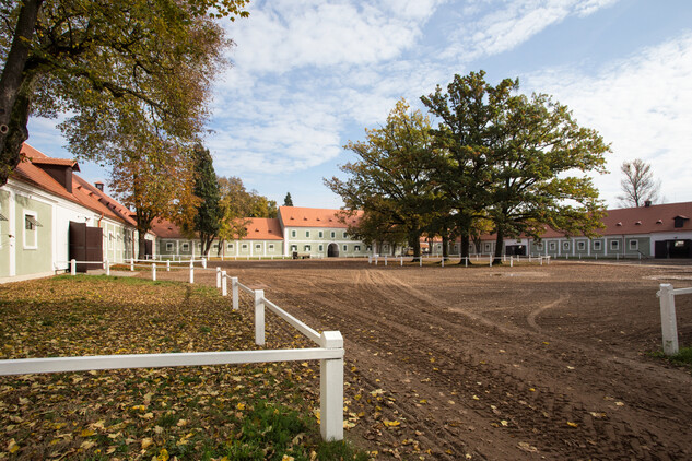 Nádvoří dvora Františkov s centrální výsadbou čtveřice dubů (Quercus robur) | © Nominační dokumentace, Jiří Podrazil