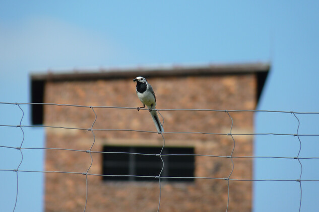 NKP Rudá věž smrti