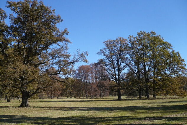Červený Dvůr, zámecký park.