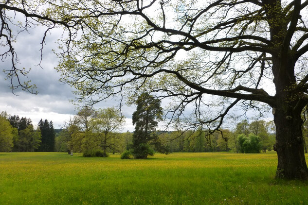 Červený Dvůr, zámecký park.