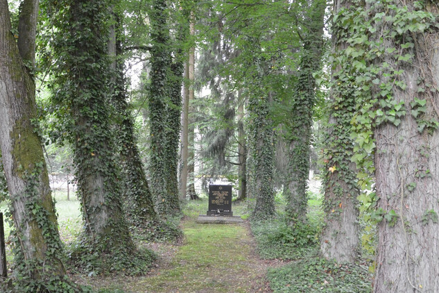 Třeboň, židovský hřbitov  | © NPÚ ÚOP ČB