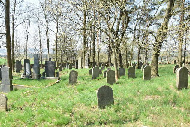 Prudice, židovský hřbitov  | © NPÚ ÚOP ČB