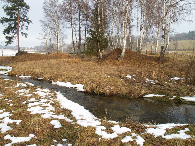 Rýžovnické sejpy na březích Mladíkovského potoka u Čábuze na Vimpersku