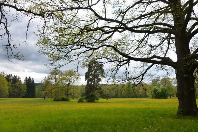 Červený Dvůr - zámecký park.