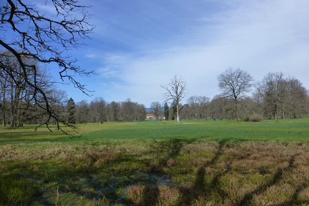 Červený Dvůr - zámecký park.