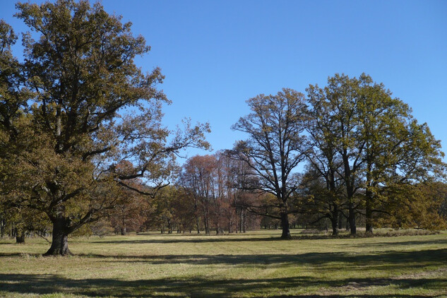 Červený Dvůr - zámecký park.