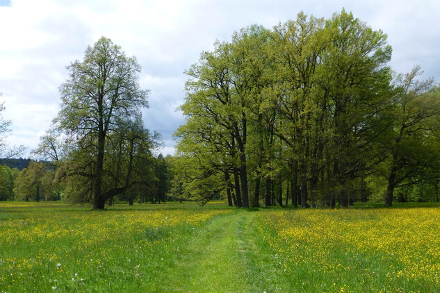 Červený Dvůr - zámecký park.