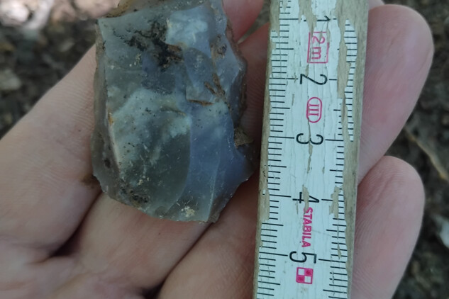 Jedno z jader pazourků (silicitu) nalezené během výzkumu v roce 2025