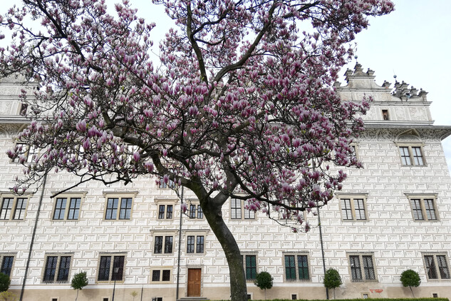 Litomyšl | © Fotoarchiv NPÚ