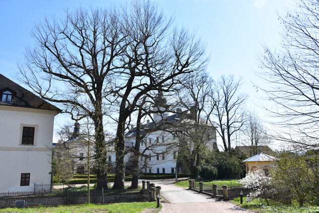 Pohled na letohradský zámek, foto: Aleš Papáček