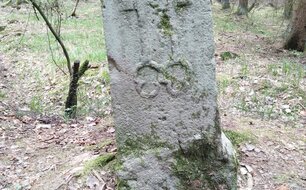 Mezní kámen plzeňského panství, foto: P. Mikota