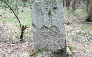 Mezní kámen plzeňského panství, foto: P. Mikota
