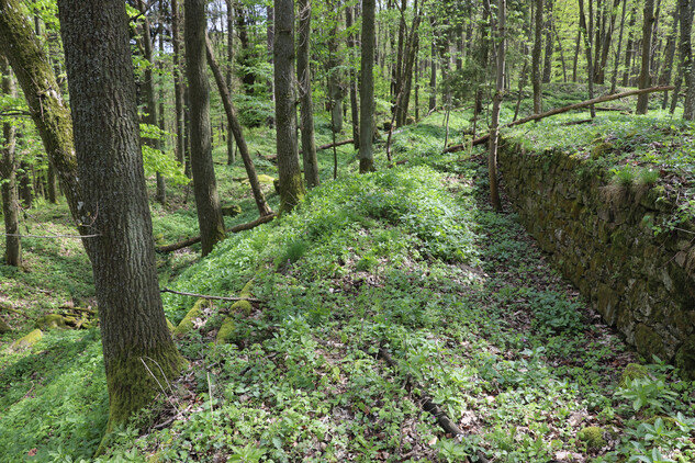 Hrad Potštejn. Foto: Národní památkový ústav