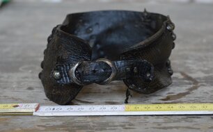 Obojek nalezený při archeologickém výzkumu jímky u plaské klášterní prelatury. Stav před konzervací. Foto: archiv Západočeského muzea v Plzni.