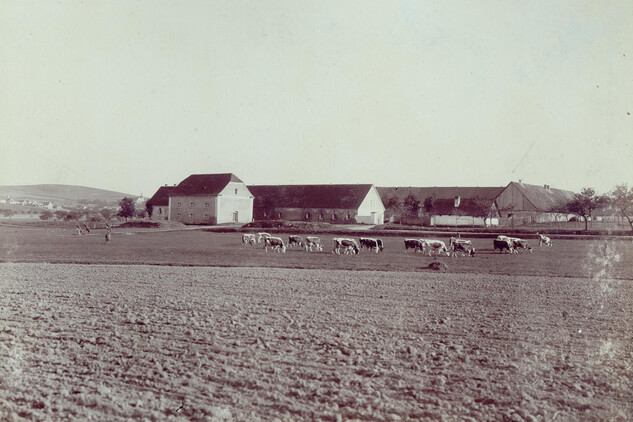Bijadla, hospodářský dvůr se sýpkou, snímek z archivu MěÚ Přeštice, odboru školství, vnitřních věcí a památkové pče