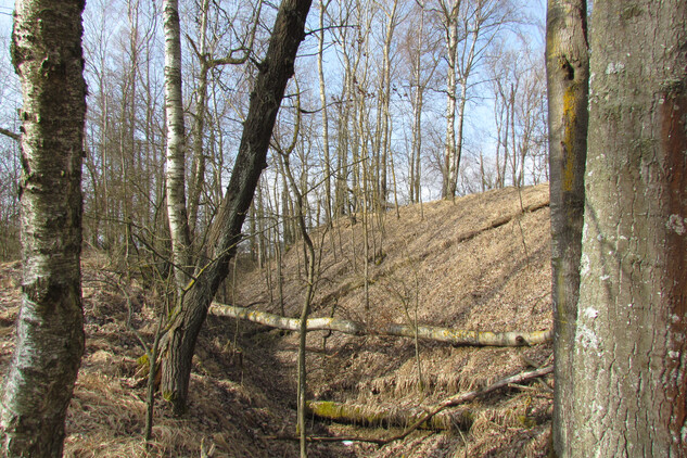 Opevnění u Stráže na Tachovsku, jižní strana, zdroj: Národní památkový ústav