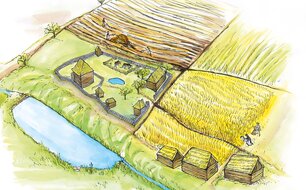 Hmotová rekonstrukce dvora Třebokov (ve středověku). Kresba B. Dančová, 2024.