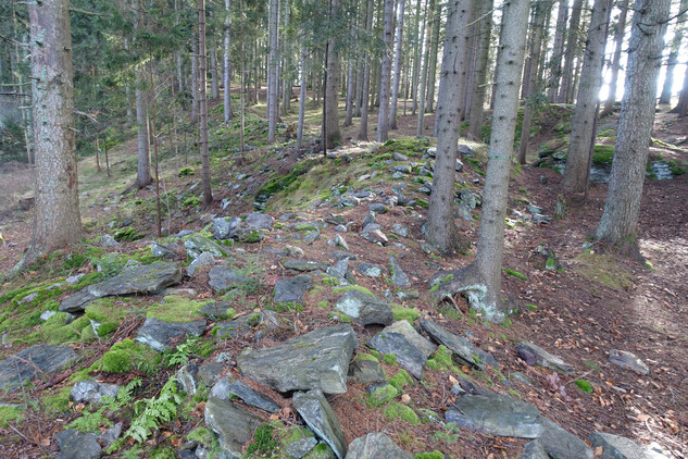 Sedlo, hradiště, val na severní straně