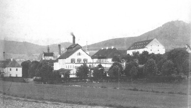 Kout na Šumavě, pohled od jihozápadu v době kolem roku 1900.