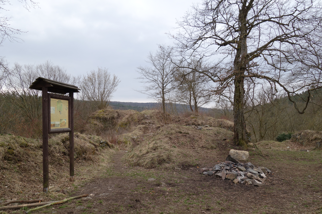 Dnešní podoba pozůstatků hradu Věžka, v jehož blízkosti probíhal předmětný archeologický výzkum (foto F. Kasl, 2013)