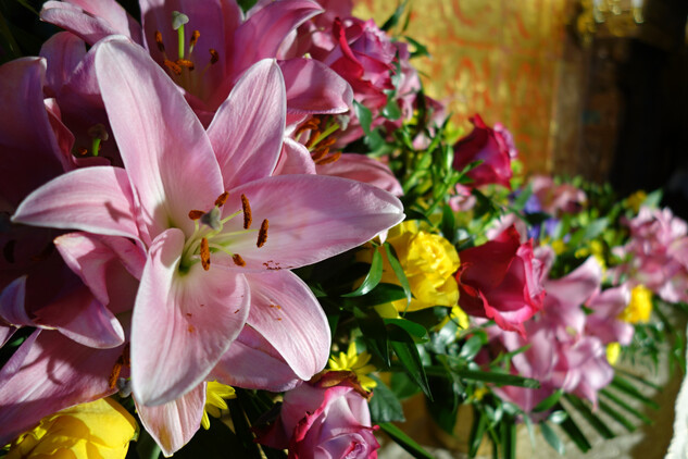 Květinová výstava pod názvem Květiny z časů královny Viktorie obohatí interiéry zámku Hrádek u Nechanic