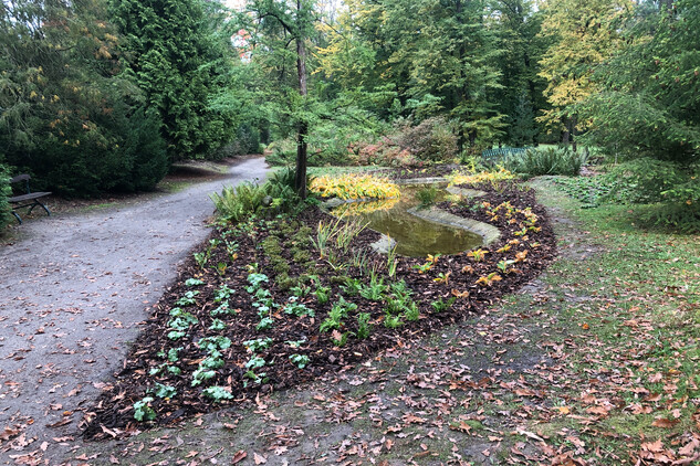 Sychrovský zámecký park prošel rozsáhlou údržbou