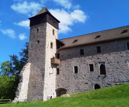 Hrad Litice